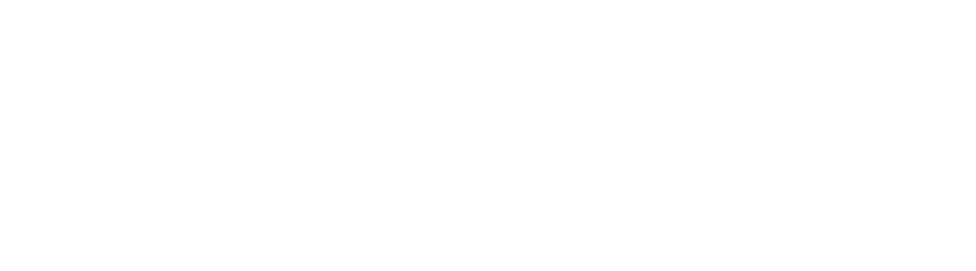 The Lifestyle Artist — One Life. Effortless Expression. Enlignment™.
