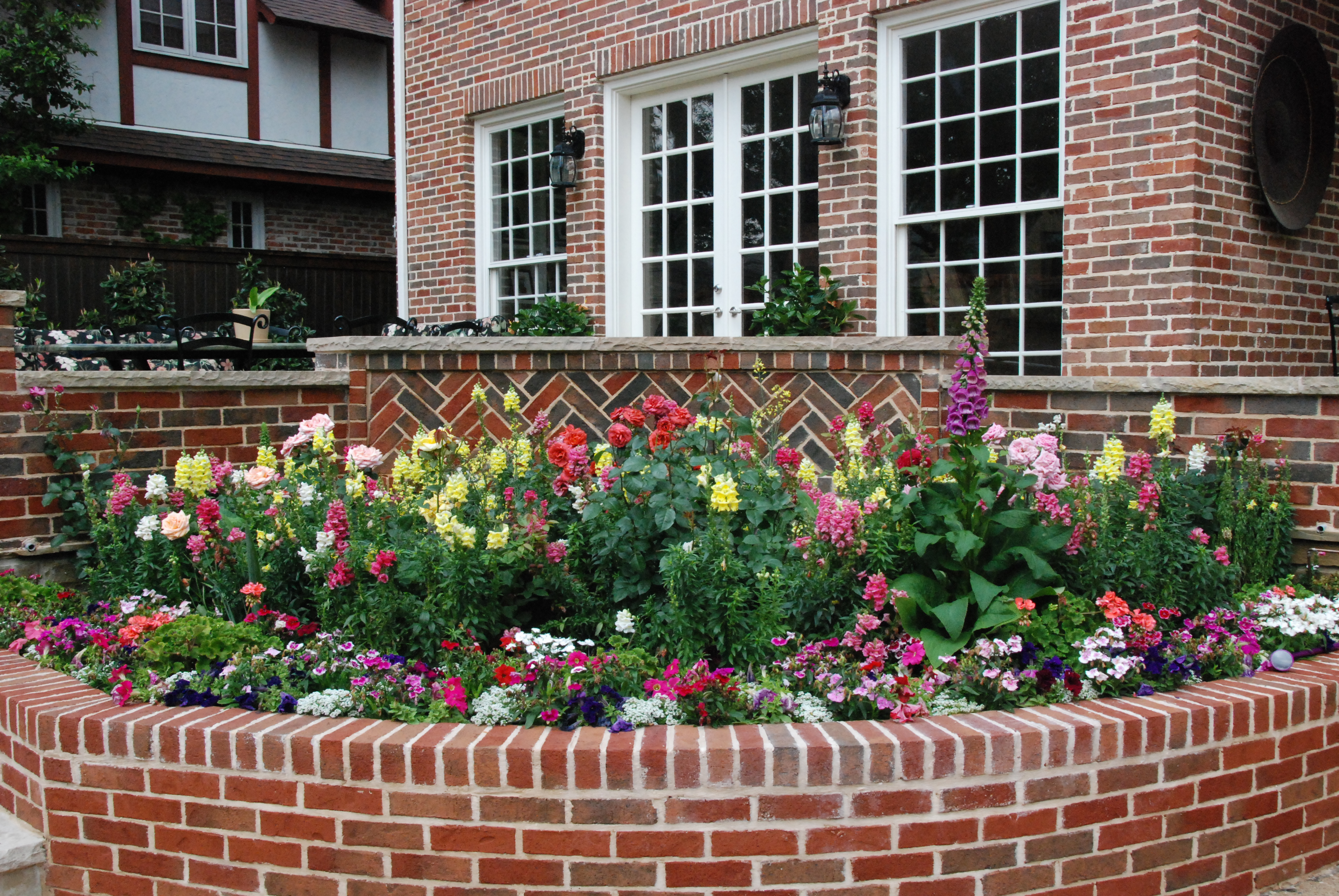 An English garden of pink roses built by Lisa Leyva where there was once only concrete