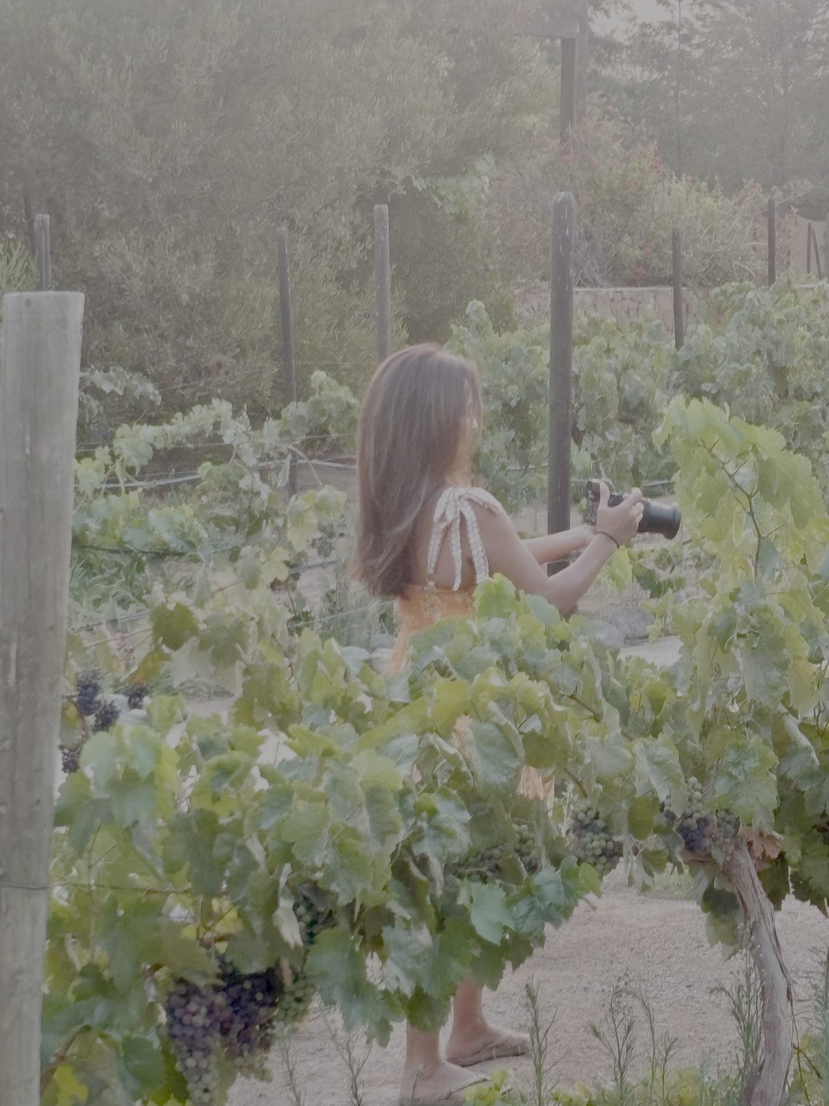 Lisa Leyva in the vineyard in Valle de Guadalupe